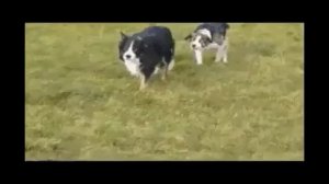 Что ты, что ты,ну что ты делаешь?