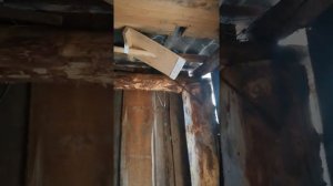 Чемочарский источник воды. Чемочары. #ЦелебнаяВода.