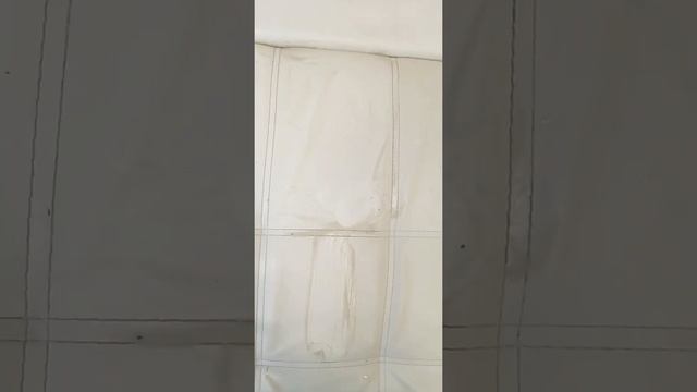 Чудо средство Азелит отмывает белый кожанный диван на ура?