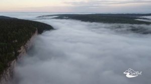 Река Вишера, Пермский край. Виды с воздуха. Июнь 2022.