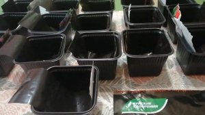 СЕЮ ОГУРЦЫ КУРАЖ НА РАССАДУ??С СЕКРЕТИКОМ??