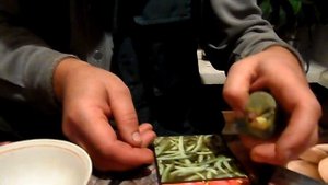Лечение попугая от поноса.
