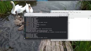 Настройка Wayland на видеокарте NVIDIA в Arch Linux