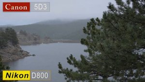 Nikon D800 vs Canon 5D Mark III - Часть 1 [Dave Dugdale]