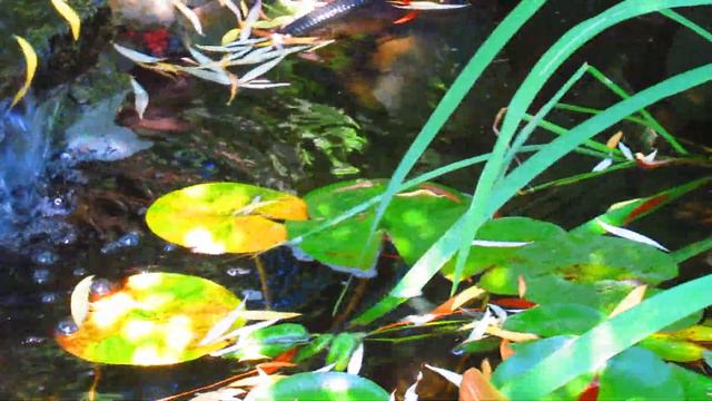 Воронеж. В Алексиево-Акатовом монастыре смотреть онлайн