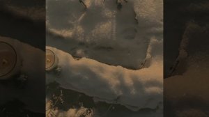 Сибирская ,уютная зима • эстетика декабря | cozy winter