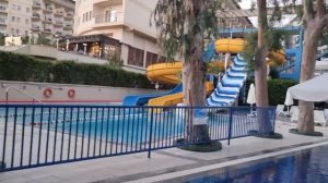 Отдых в Дельфин Делюкс посмотрели Дельфин Ботаник У нас Круче