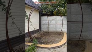 Декоративная арка металлическая радиальная для плетистых и вьющихся роз (Кривой Рог, цена)