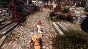 Skyrim: Get Stripped! (18+)
