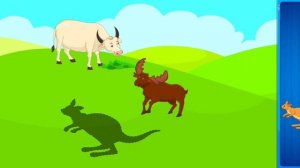 Развивающее видео для детей 2-3 лет. Развитие мышления. Головоломки для малышей обучающие