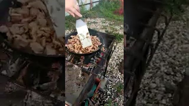 жарим мясо на даче.