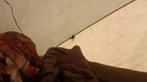 Краткий обзор палатки Снегирь 3 т Лонг.