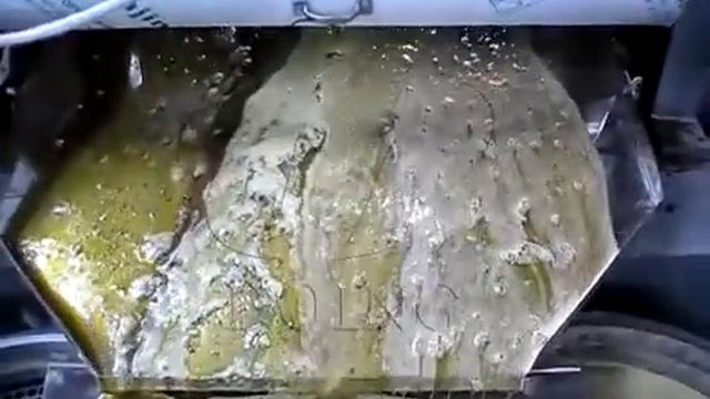 Интегрированный маслопресс для производства рапсового масла