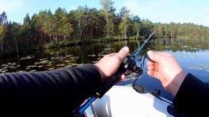 Твичинг щуки осенью . Uljaste Järv огромная щука.Ловля на мультипликатор .