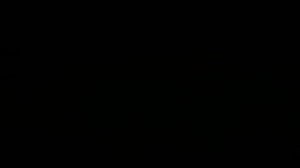 ПОТЕРЯВШИЕ ГЕНЕТИЧЕСКИЙ КОД…