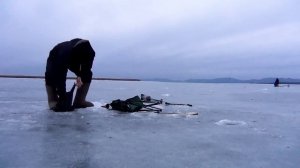 Зимняя рыбалка в Приморье. 
Ловля наваги. Ловля корюшки. Рыбалка по первому льду.