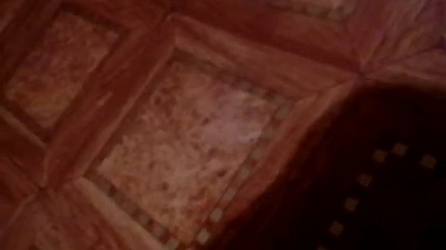 Мои животные породы шотландцы красивые животные очень много животных смотреть онлайн