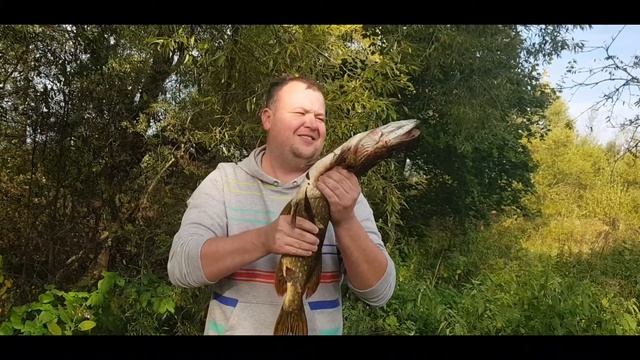 Очень большая пасть ЩУКИ смотреть онлайн