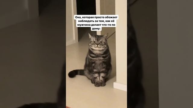 когда жена замечает что я что-то  делаю ?