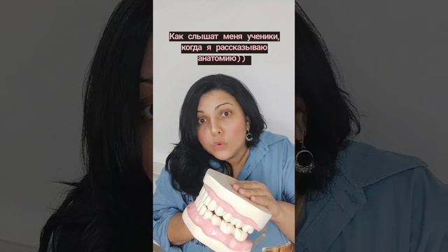 Анатомия для массажистов. Разложим все по полочкам
