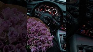 Тюльпан - Рем Дигга (Speed UP)