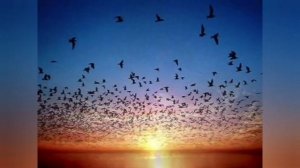 Радуйся - Светлана Калачёва.mp4