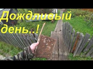 Дождливый день в деревне/ Суета и быт/ О заказах одежды/ заменил свечу на пиле