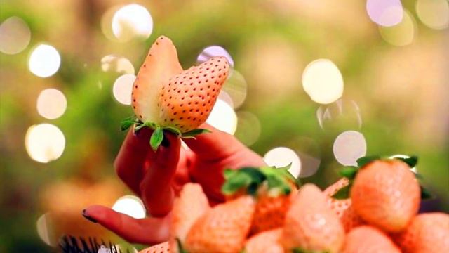 НЕОБЫЧНАЯ КЛУБНИКА смотреть онлайн