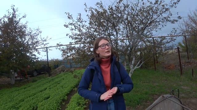 Наша жизнь после переезда на юг. Даже редиска в ноябре есть! Краснодарский край