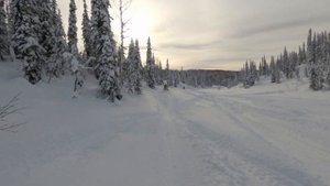 Поднебесные зубья на снегоходах Polaris Indy Voyageur 550, Тайга 500, Тикси 250, Arctic Cat M8000