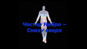 Честер-Небро – Снизу вверх!🔊🎶