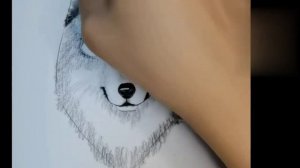 How to draw wolf sketch/how to draw animal sketch/wolf face sketching.....