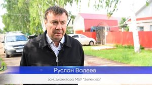 Спил и кронирование деревьев: как и зачем?