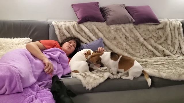 Вкусное домашнее сало ! Светлана приехала с работы! Ужин смотреть онлайн