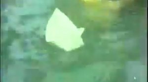 Албания времен Энвера Ходжи