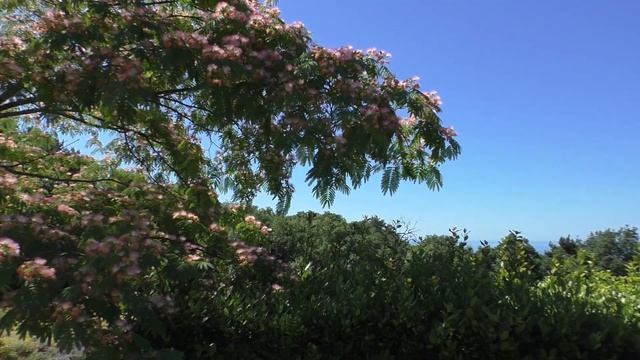 Путешествие в Крым на автомобиле 2019. #6 Массандровский дворец и Каменные грибы смотреть онлайн