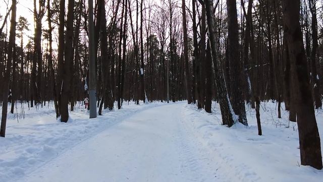 Бывалый пилот, потерпев крушение, попал в дикое племя-людоедов… А когда его вернули, все вздрогнули смотреть онлайн