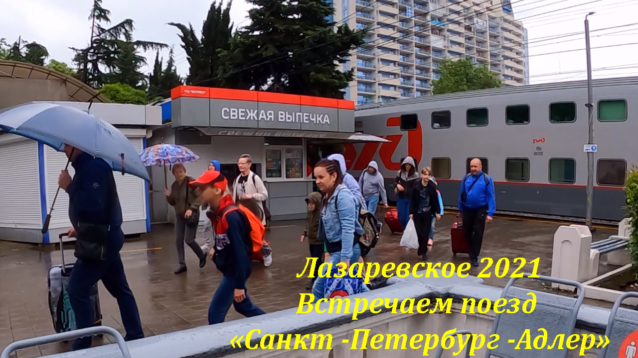 Тур в адлер из спб. Посёлок Северная Пальмира. Северная Пальмира поезд. Остановки Северная Пальмира СПБ Адлер.