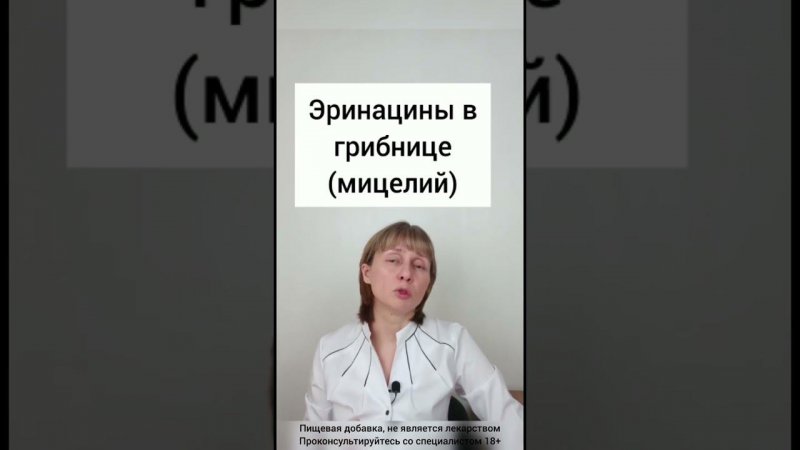 Ежовик для нервной системы Доктор Лисенкова #shorts