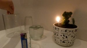 что   такое   фотосинтез   эксперимент с  растениями   для  тех  кто   не  любит   читать?
биологию