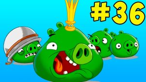 Горное развлечение с Энгри Бердс! 36 серия Angry Birds на канале MiniMax! Игры на телефон Андроид!