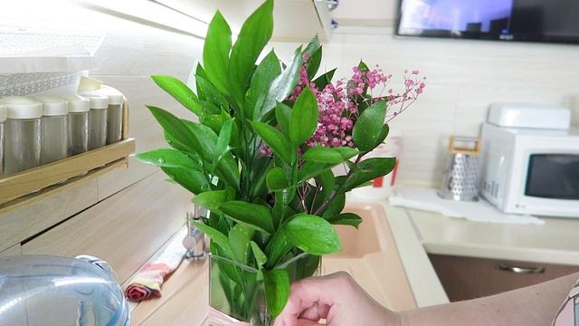 Что со МНОЙ / Тяжелый день / Я ленивая / Мое утро / Окорочка в духовке / Vika Siberia LifeVlog смотреть онлайн