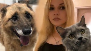 100 спасенышей в режиме ожидания