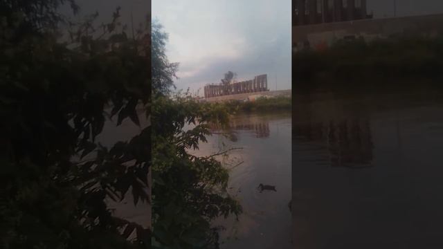 27.07.21г. на реке упе,левый берег. смотреть онлайн