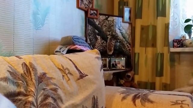 Сказка об умном мышонке смотреть онлайн