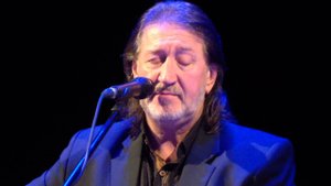 Олег Митяев "Самая любимая песня".Владимир 17.10.15 г.