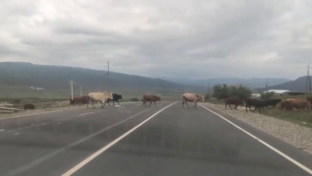 ДАГЕСТАН  ОСЕНЬ. Вводное видео
