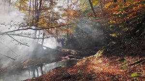 AUTUMN • 4K Nature Relaxation Film • Healing Relaxing Music • 4k Video UltraHD