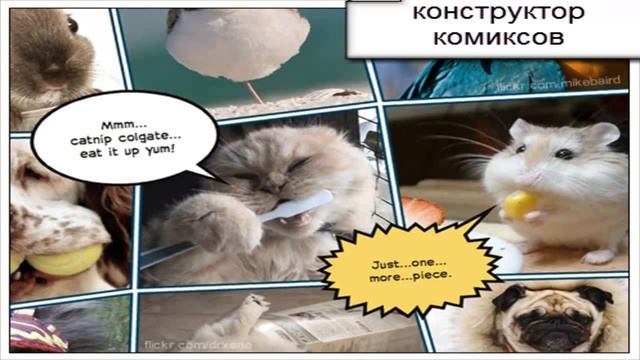 Конструктор комиксов смотреть онлайн
