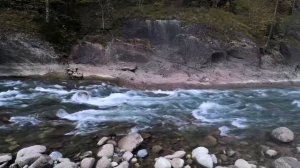 Красоты горных рек Карачаево Черкесии
